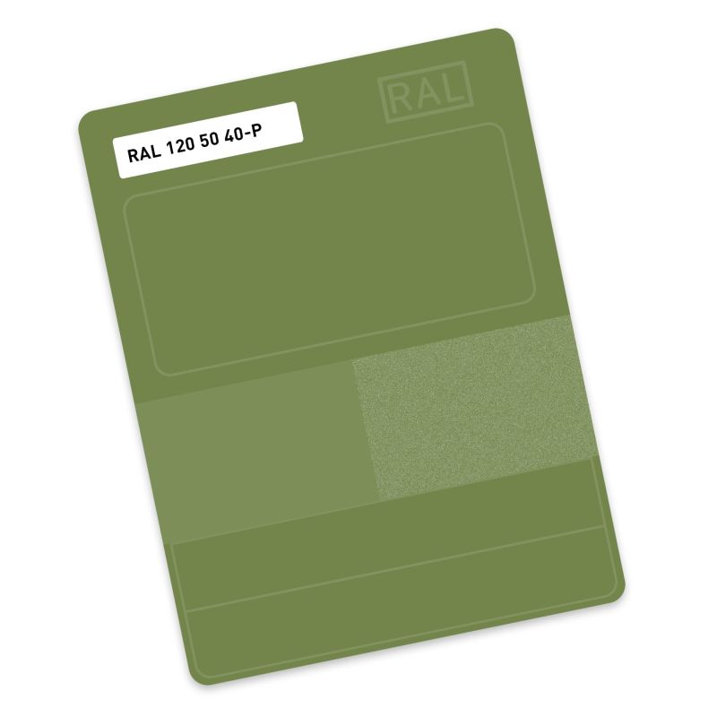 RAL P2 Plastic colour sample hue 120 50 40 - Hedge green