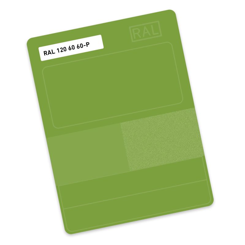 RAL P2 Plastic colour sample hue 120 60 60 - Mamba green