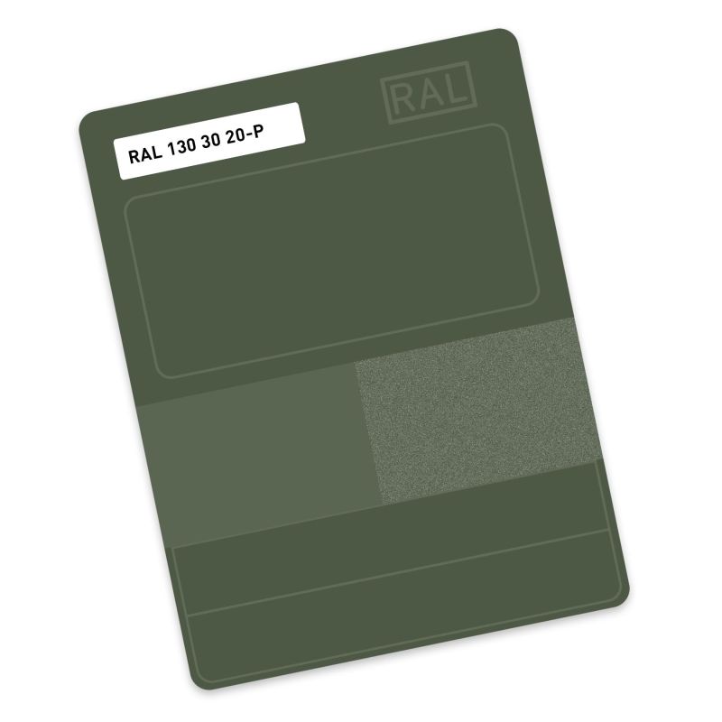 RAL P2 Plastic colour sample hue 130 30 20 - Kelp green