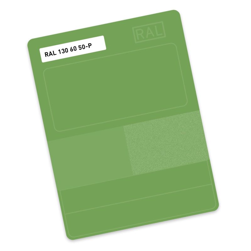 RAL P2 Plastic colour sample hue 130 60 50 - Parisian green